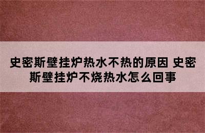 史密斯壁挂炉热水不热的原因 史密斯壁挂炉不烧热水怎么回事